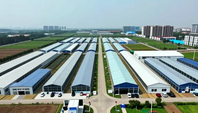 优化课程设计：提升市场调研分析的实用价值